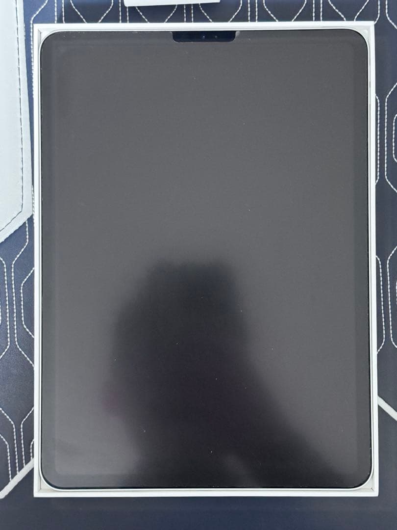 IPad Pro 第1代 11in 256GB