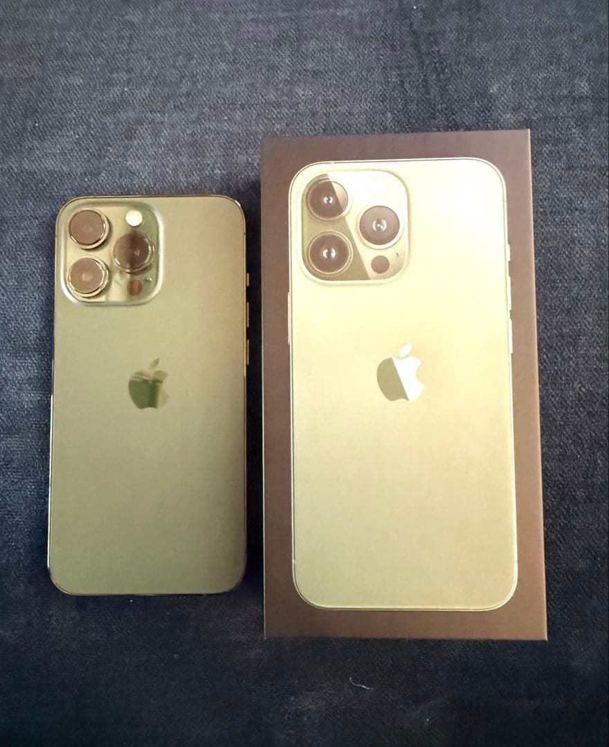 【早い者勝ち‼️】iPhone 13 Pro 256GB アルパイングリーン