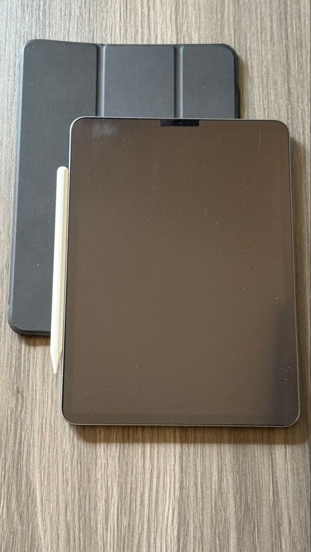 【12月末まで】iPad Pro Wi-Fi 256GB 第2世代 ペンセ