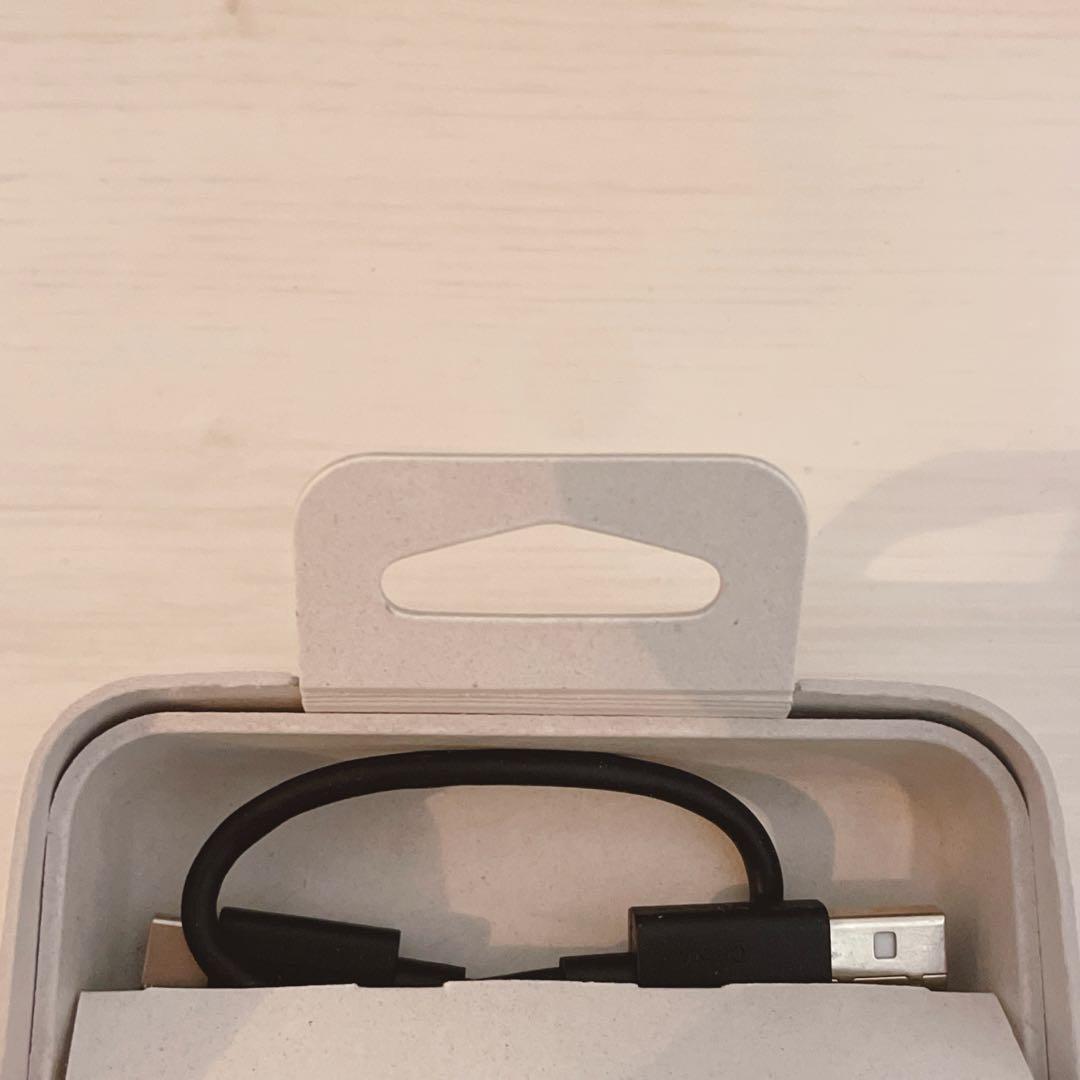 【美品】SONY WF-1000XM4 プラチナシルバー