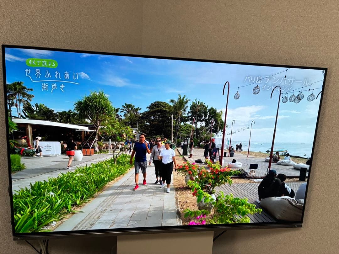 【訳あり】TOSHIBA 東芝 有機ELテレビ REGZA 48X8400