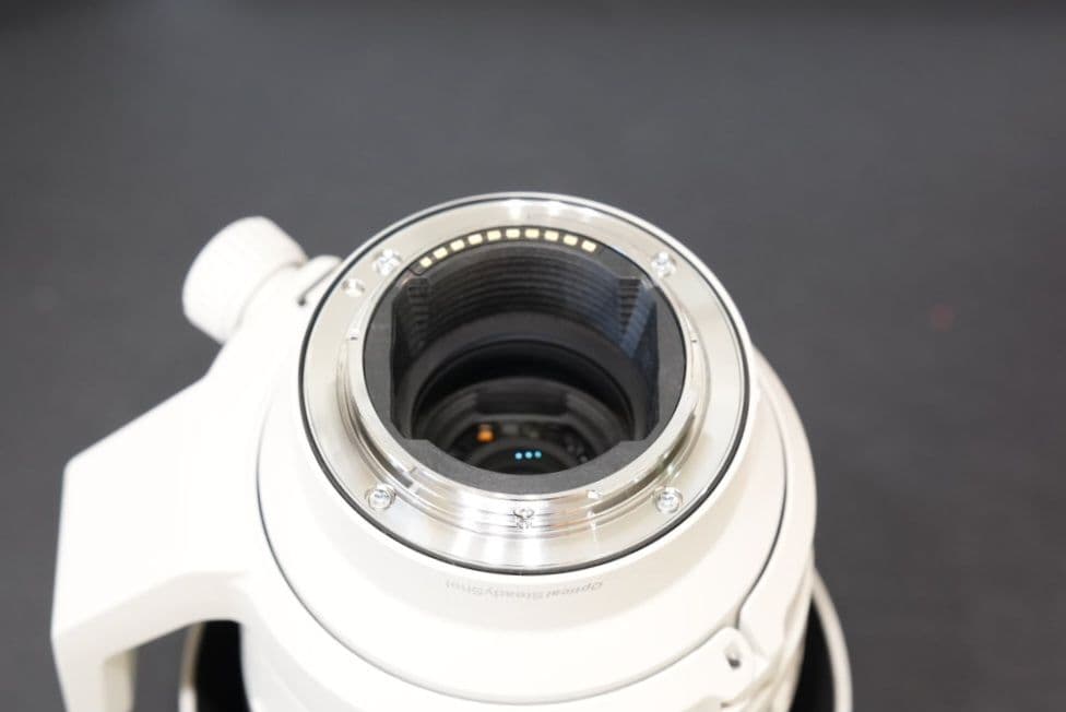 レンズ(ズーム) FE70-200F4MacroGOSSII SEL70200G2