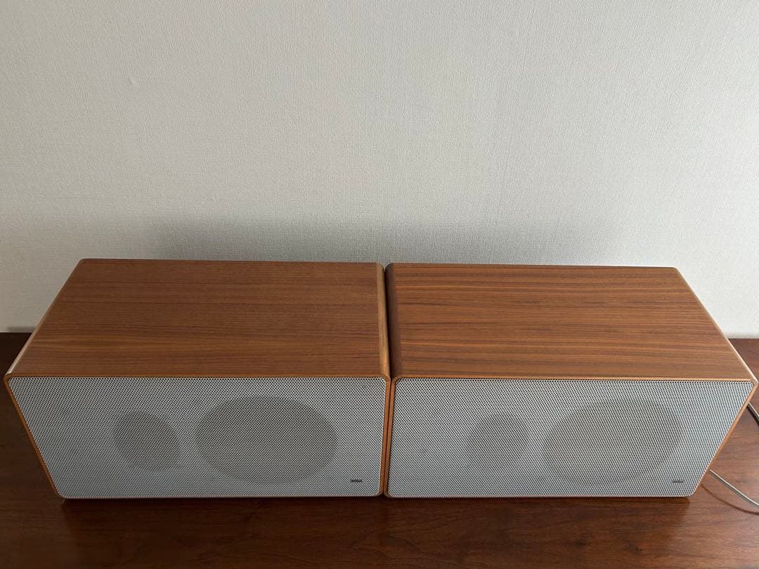 BRAUN L500 speaker ×2