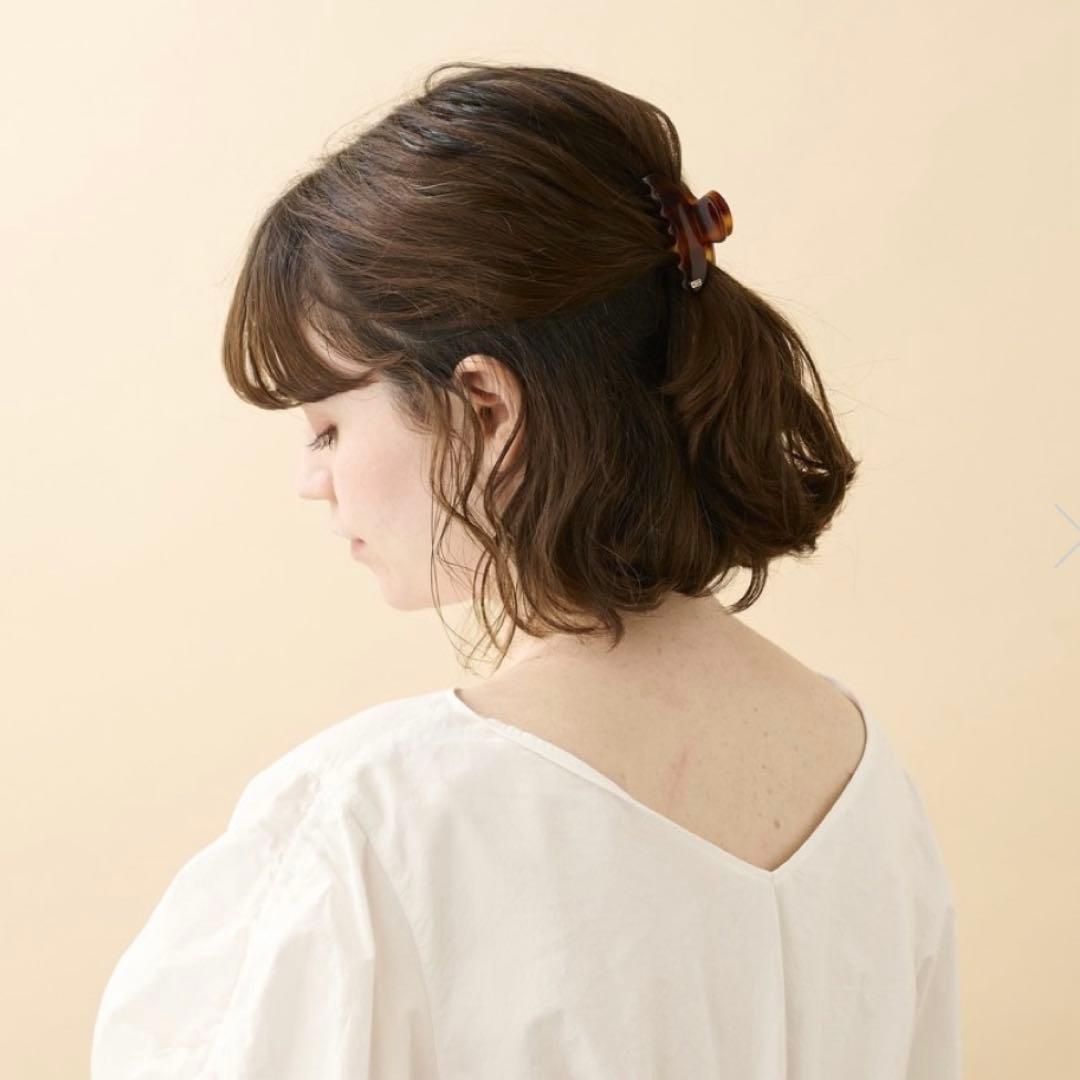 ALEXANDRE DE PARIS Sクリップ