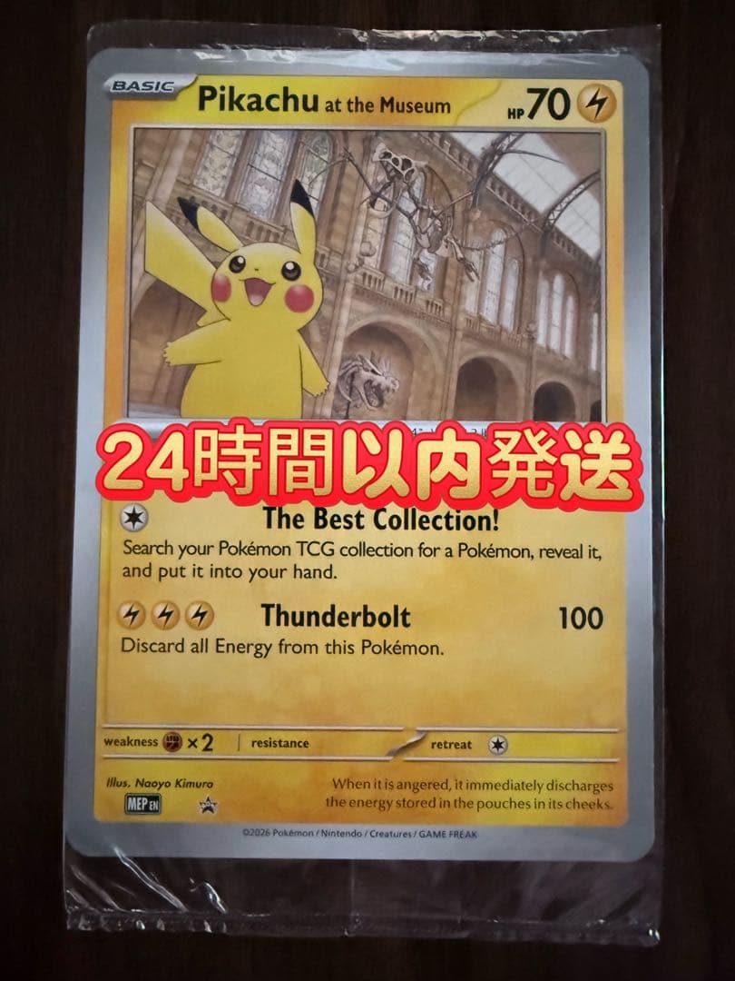 Pikachu at the Museum ピカチュウ ロンドン自然史博物館