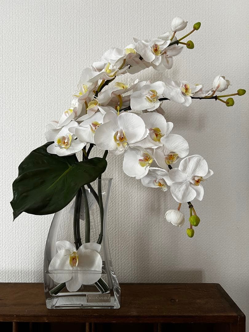 エミリオロバ（EMILIOROBBA）　エミリオロバ