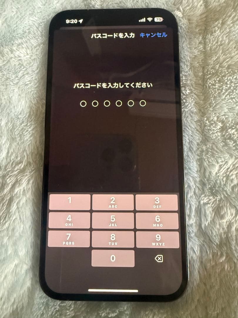 Apple iPhone 13 Pro Max 128GB SIMフリー本体のみ