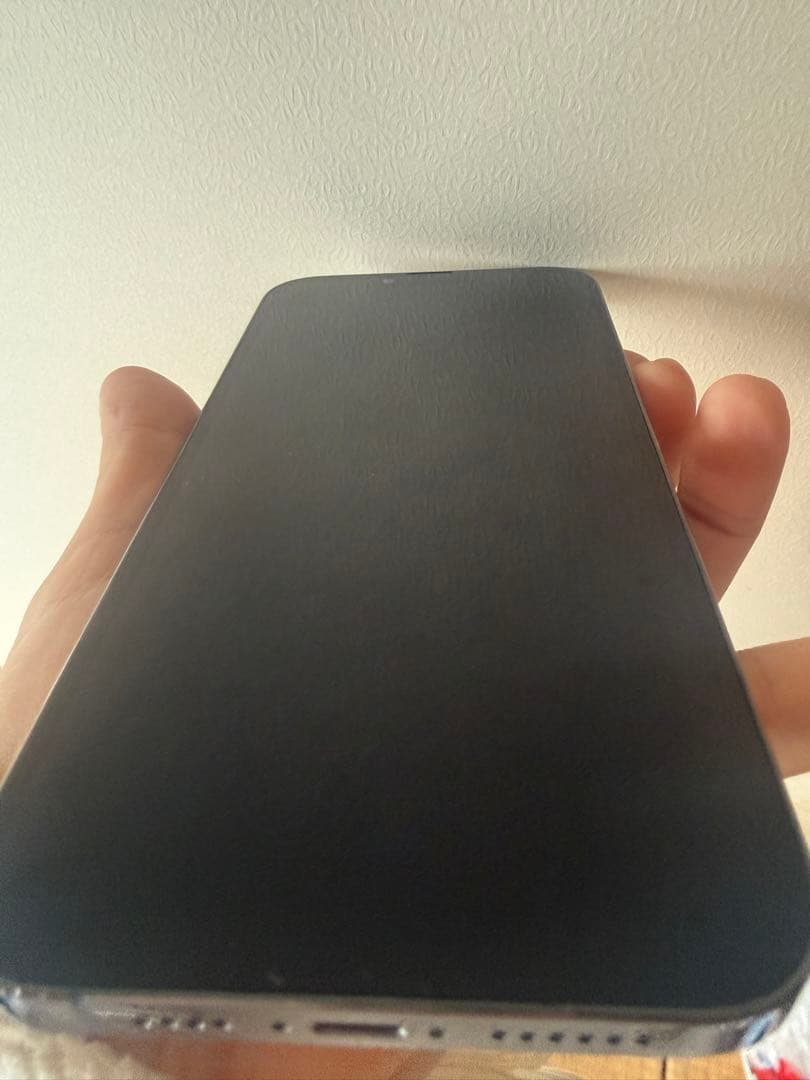 Apple iPhone 13 Pro Max 128GB SIMフリー本体のみ