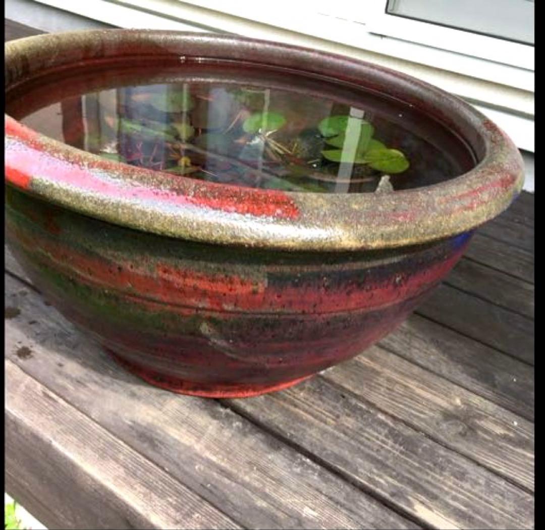 美しい赤鉢　睡蓮鉢　特大
