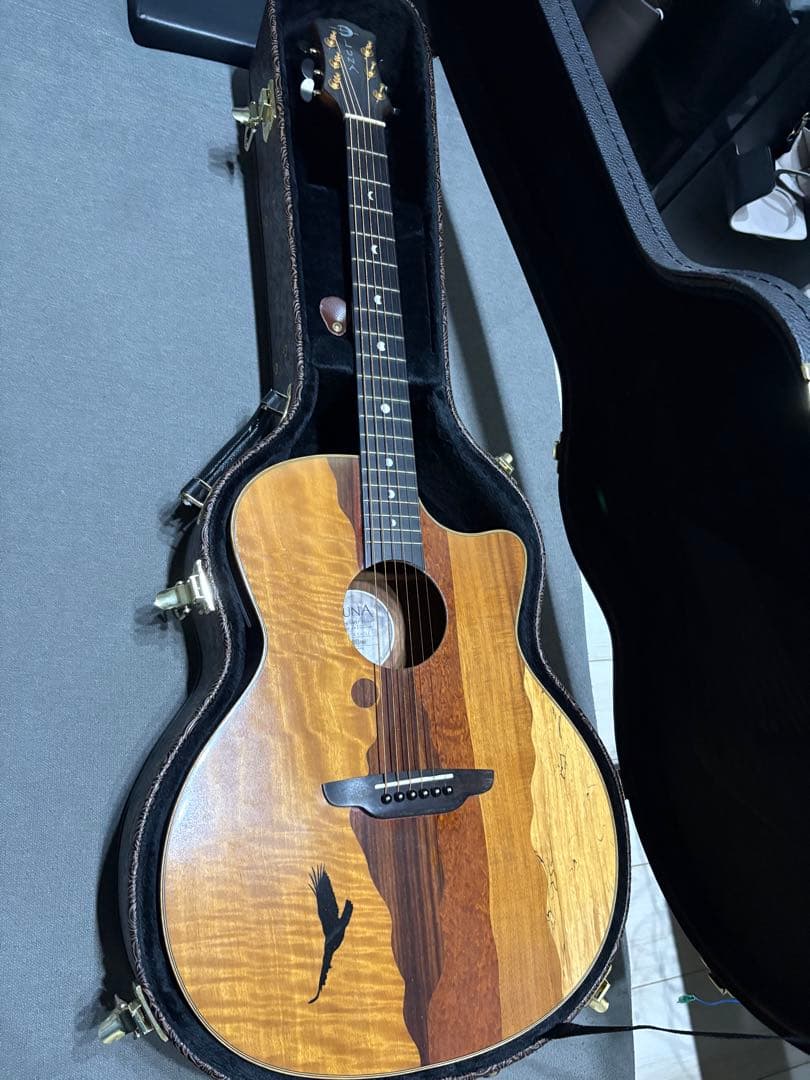 元新品8万円前後Luna Vista Eagle 6弦【ジャンク／修理ベース】