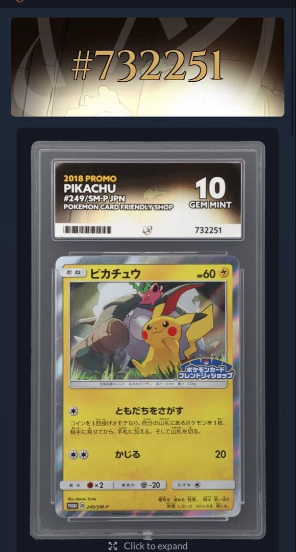 ACE10 ピカチュウ フレンドリィショップ プロモ 249