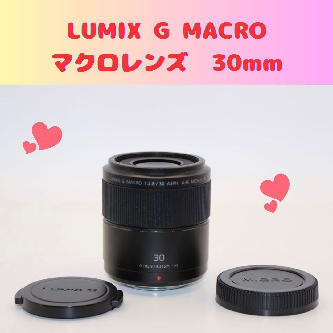 ★大人気★ LUMIX マクロレンズ　30mm H-HS030 パナソニック