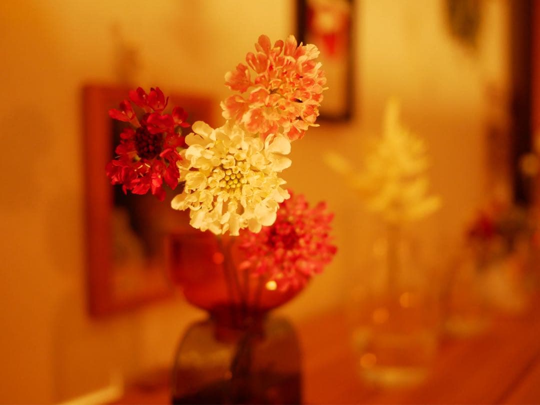 Panasonic LUMIX DC-GF10一式と単焦点レンズ （レンズ３個）