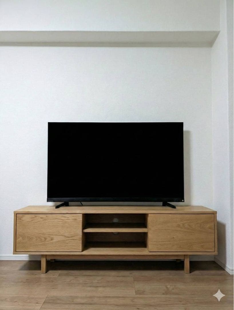 REGZA 55V型 有機ELテレビ 55X9900L 4K タイムシフト