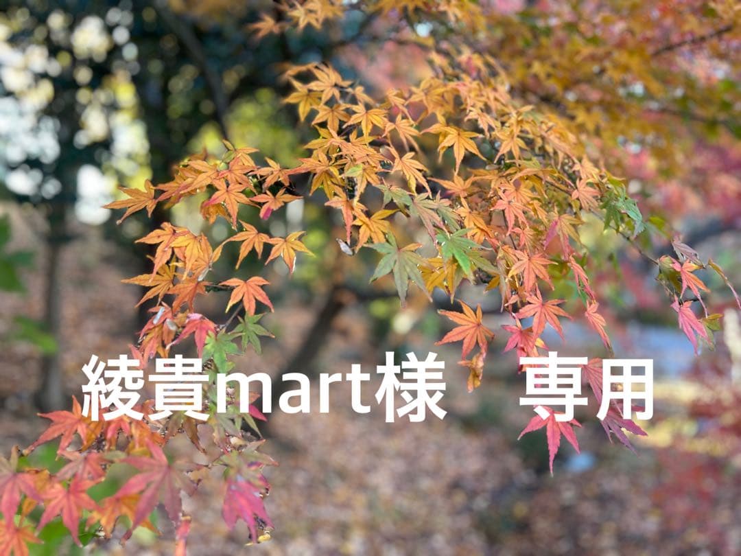 Panasonic 単機能レンジ NE-ILC1W 2025年製