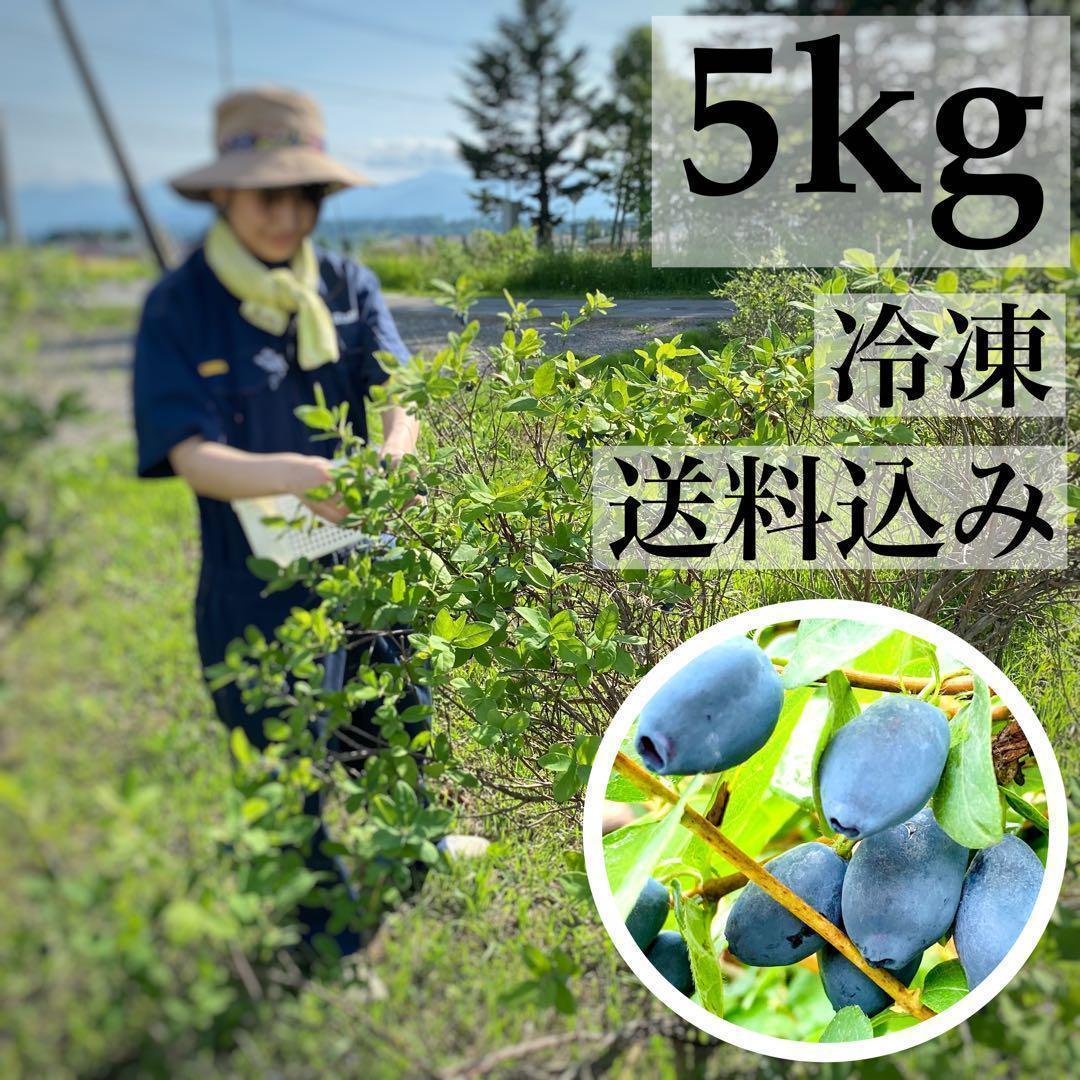 【2025年産】新鮮　ハスカップ　冷凍　5kg　送料込み