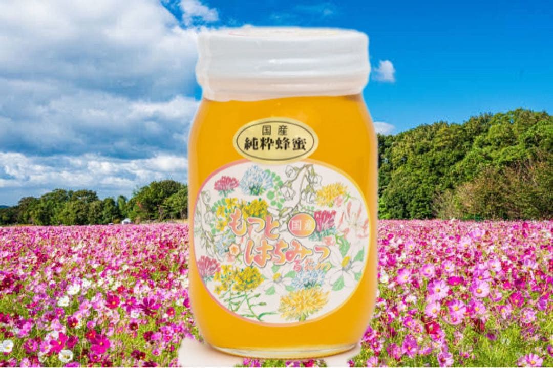 森の暮らし　国産純粋 百花蜂蜜　600g×6本
