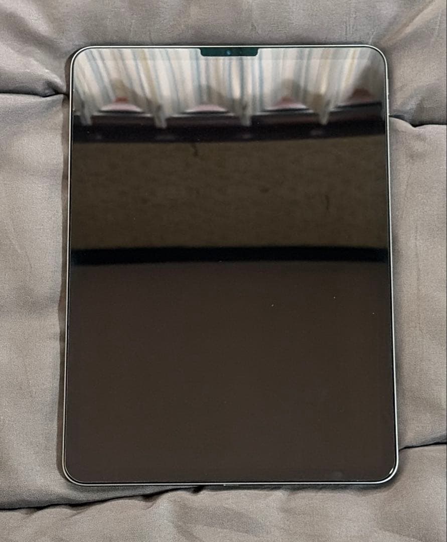 iPad Pro 第2世代 11インチ 258GB スペースグレー Wi-Fi