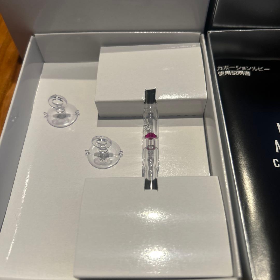 ADA CO2ビートルカウンター　カボーションルビー　パラングラス30