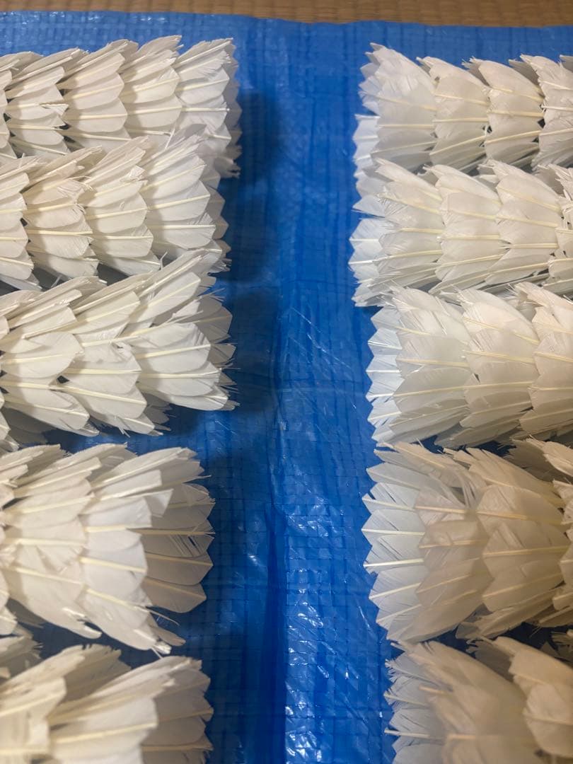 中古⭐︎ニューオフェシャルのみノック用シャトル⭐︎260球