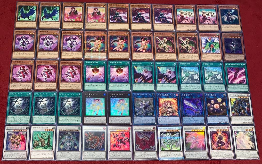 遊戯王　大会構築ローズドラゴンデッキ40枚＋E X15枚＋α