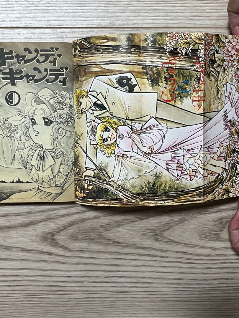 キャンディ・キャンディ 全巻セット