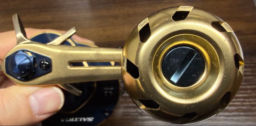 す*や様 ダイワ ソルティガic 100