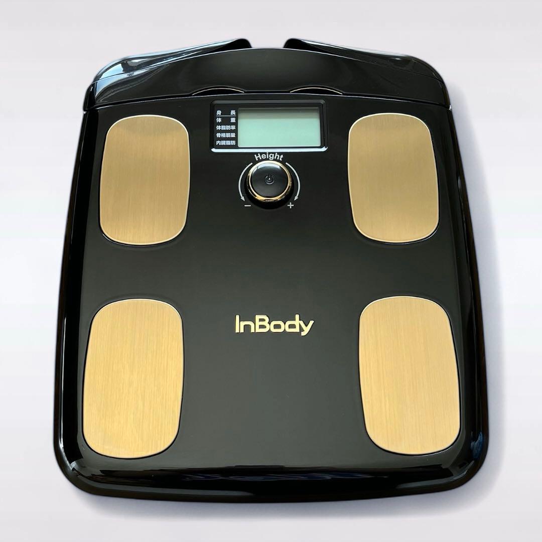 【極美品】InBody Dial H20 ミッドナイトブラック