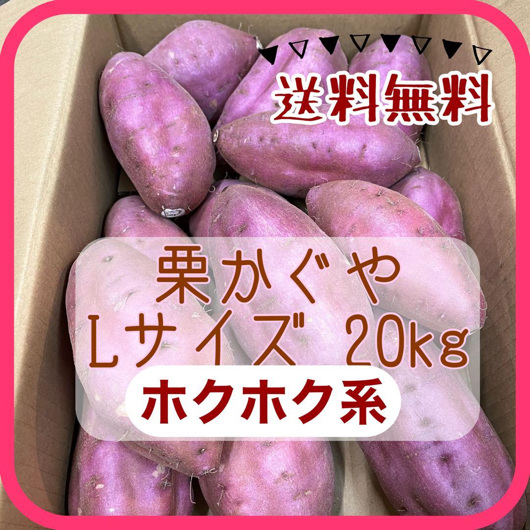 栗かぐや Lサイズ 20kg さつまいも