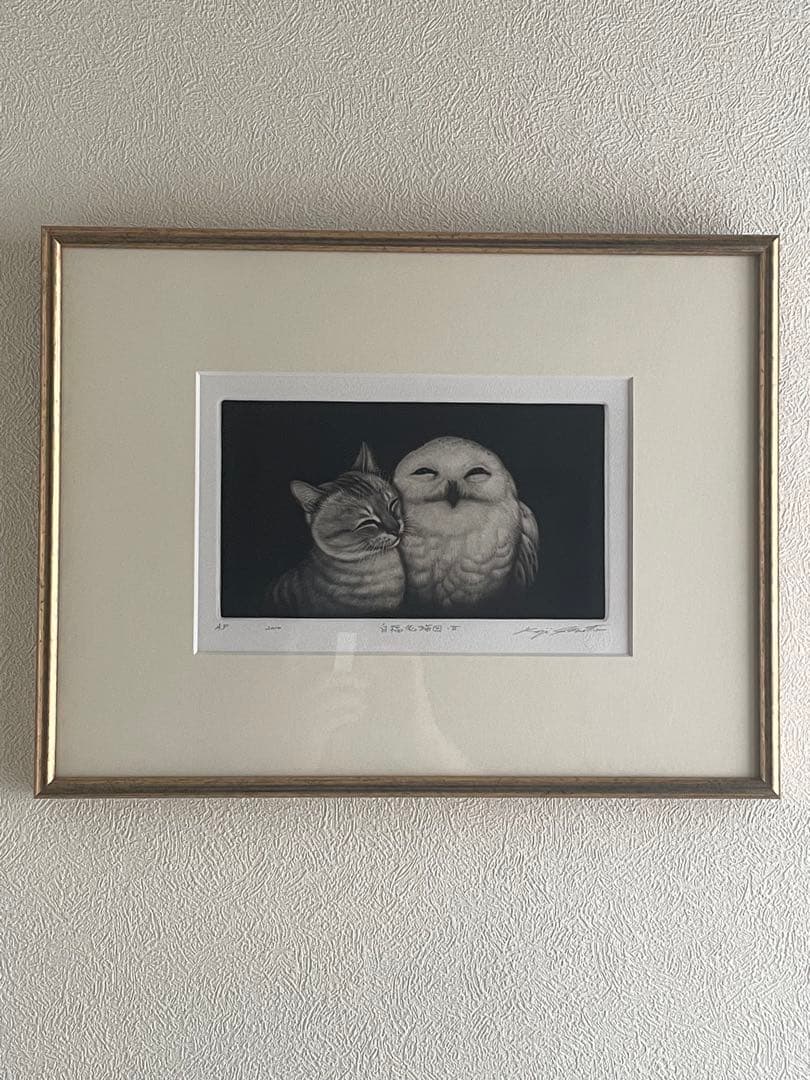 生田宏司　猫とフクロウの銅版画 A4サイズ