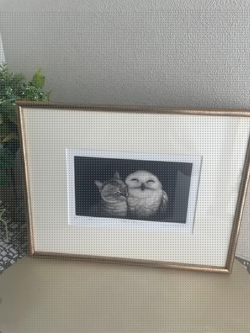 生田宏司　猫とフクロウの銅版画 A4サイズ