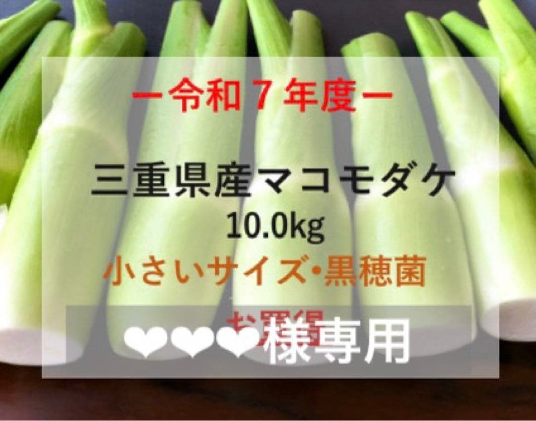 【❤︎❤︎❤︎】三重県産マコモダケ 10.0kg 小さいサイズ•黒穂菌