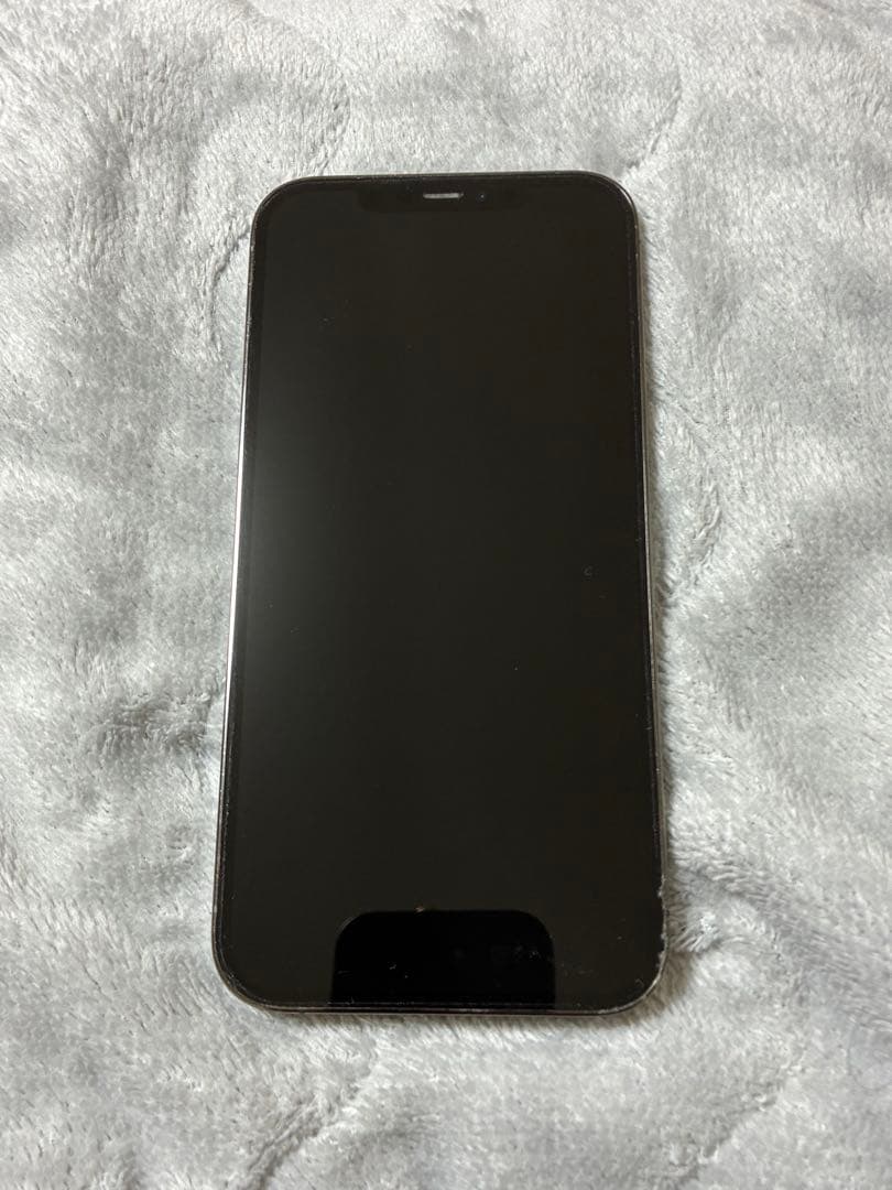 Apple iPhone 12 Pro Ｍax 128GB