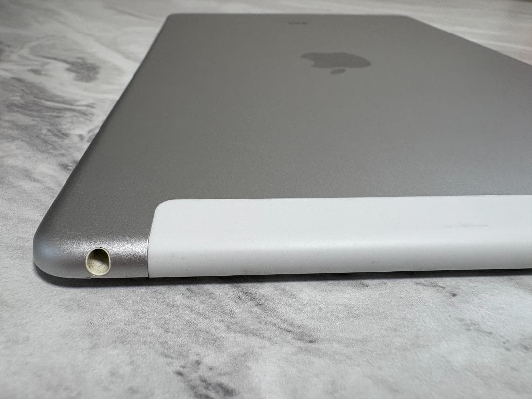 iPad Air 2 128GB Wi-Fi Cellular 充電器なし