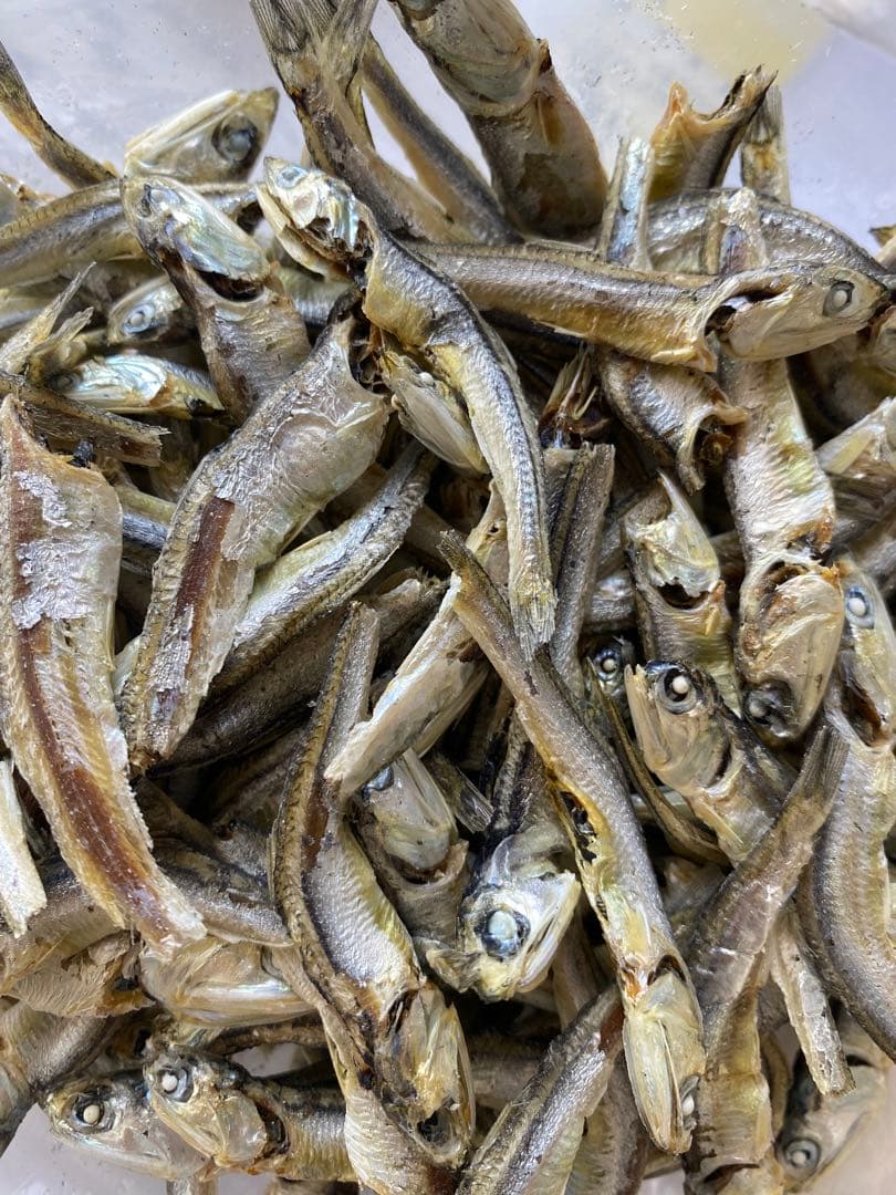 煮干しいわし 7.5kg 箱売り