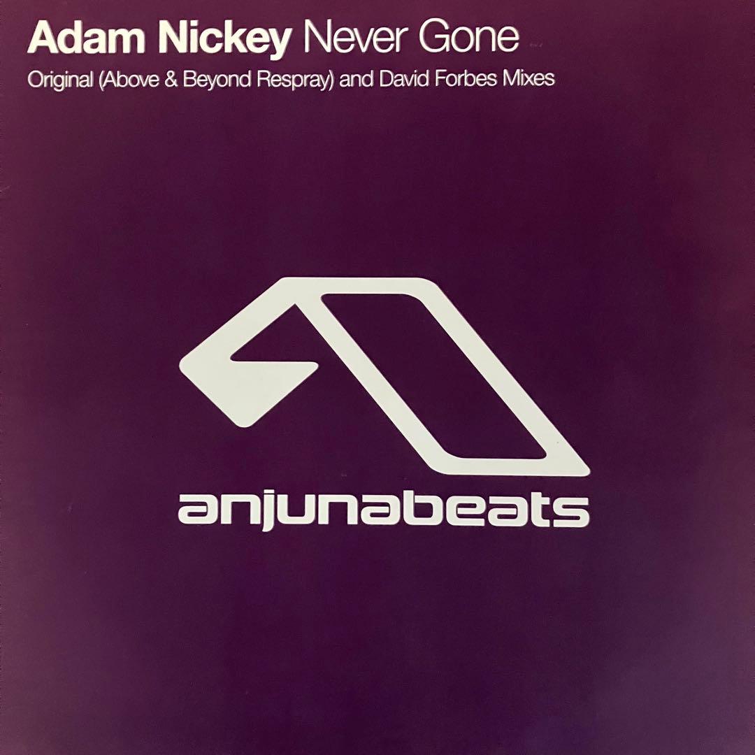 洋楽 Adam Nickey - Never Gone 12\