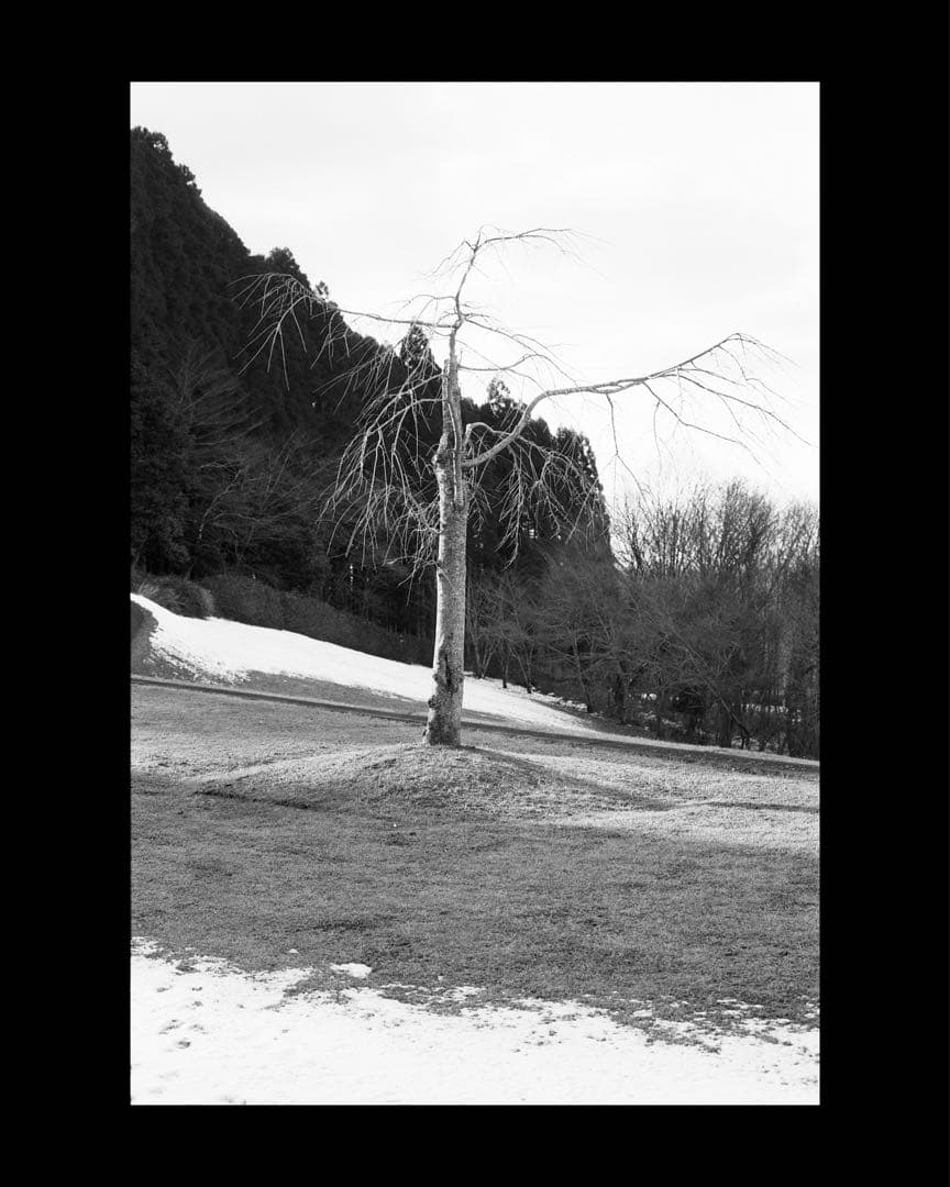 Nikon F2 レンズ等セット　美品