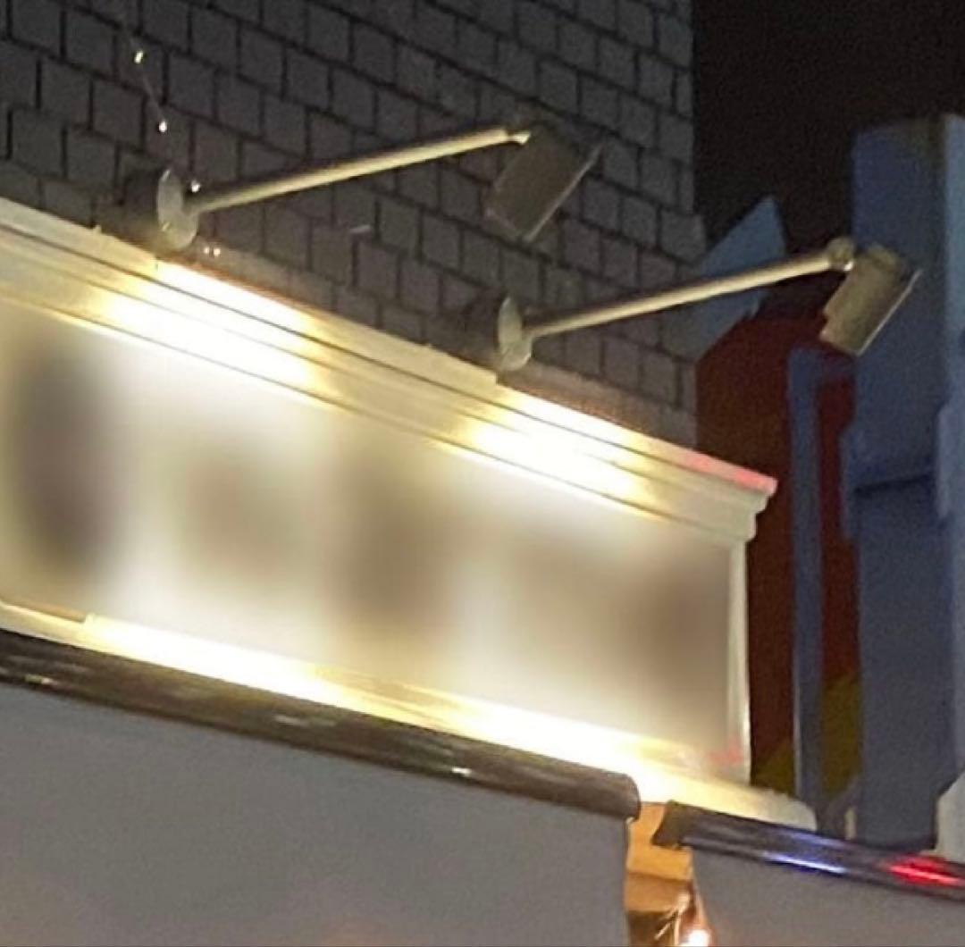 購入者様指定商品 LED ロングアーム スポットライト ブラック ２本セット