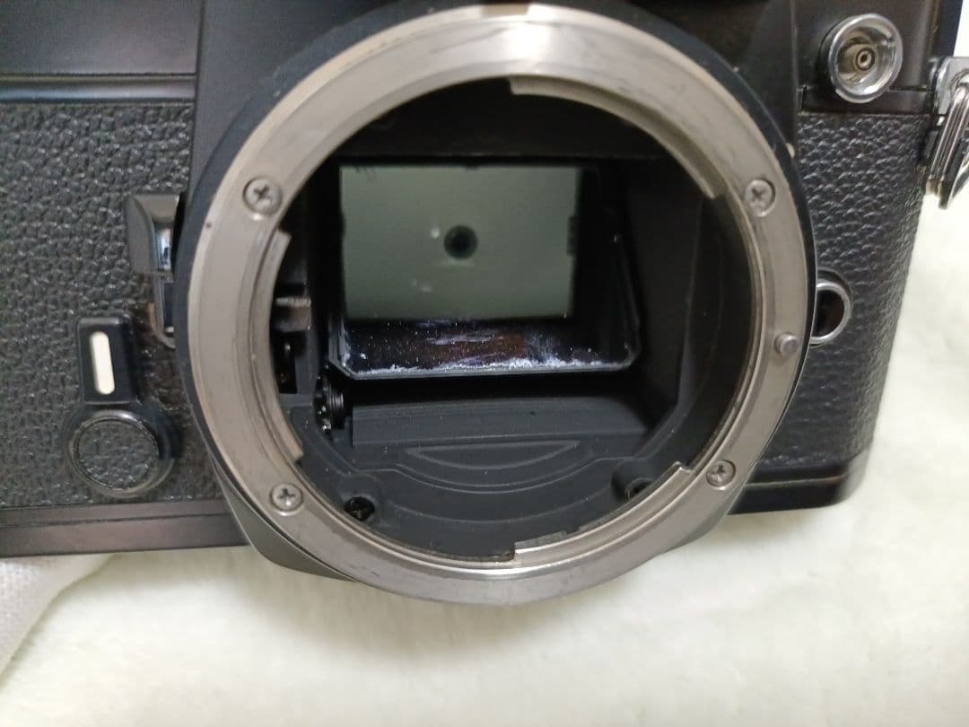 フィルムカメラ Nikon FM 2344369