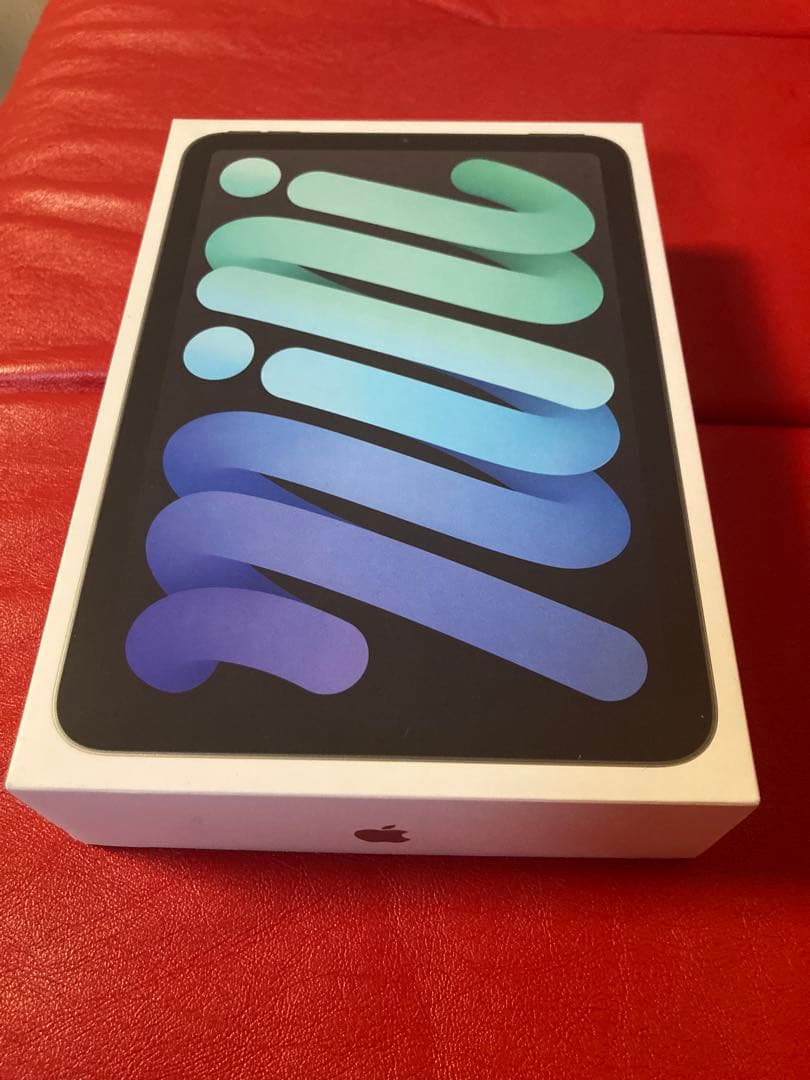 専用化【ほぼ新品】iPad mini 7 WiFiモデルスペースグレー256GB