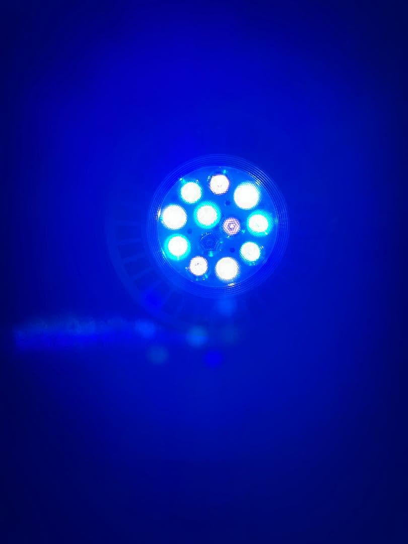 Grassy LeDio RX122RF ボルクスジャパン