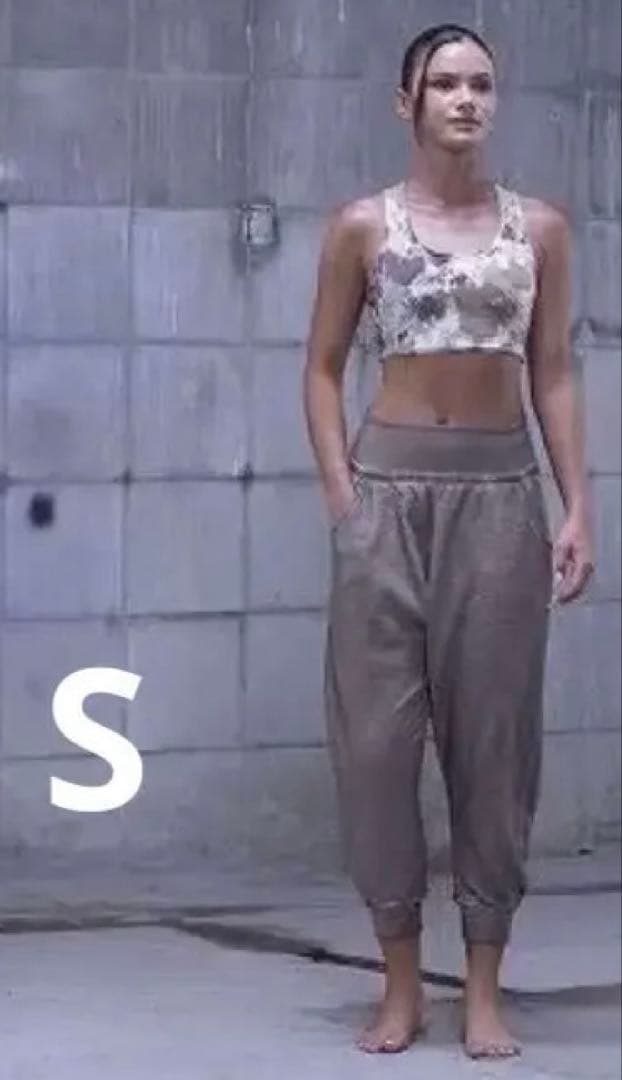 salsation最新作【Polso pants right brown S】