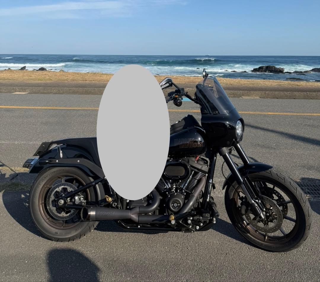 ハーレー用 TBR ショーティターンアウトマフラー 2in1