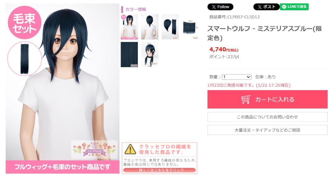 【専用ページ】ルリ様 ウィッグオーダー マレウス・ドラコニア