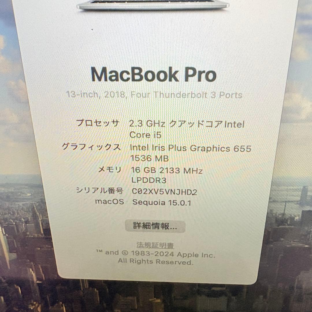 【極美品】MacBook Pro 2018 13インチ 16GB/256GB