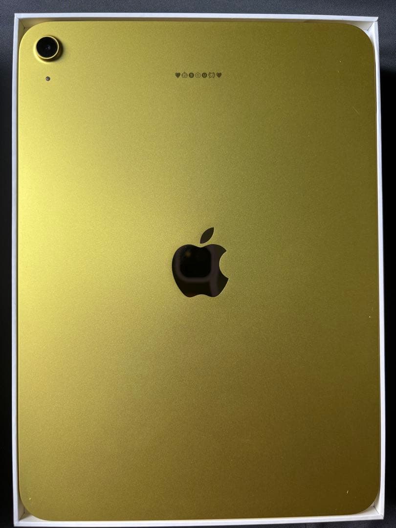 未使用 iPad11世代 A16 (Apple Pencil ケース 付き)