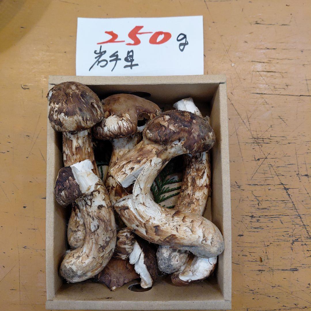 岩手県松茸訳あり 250g
