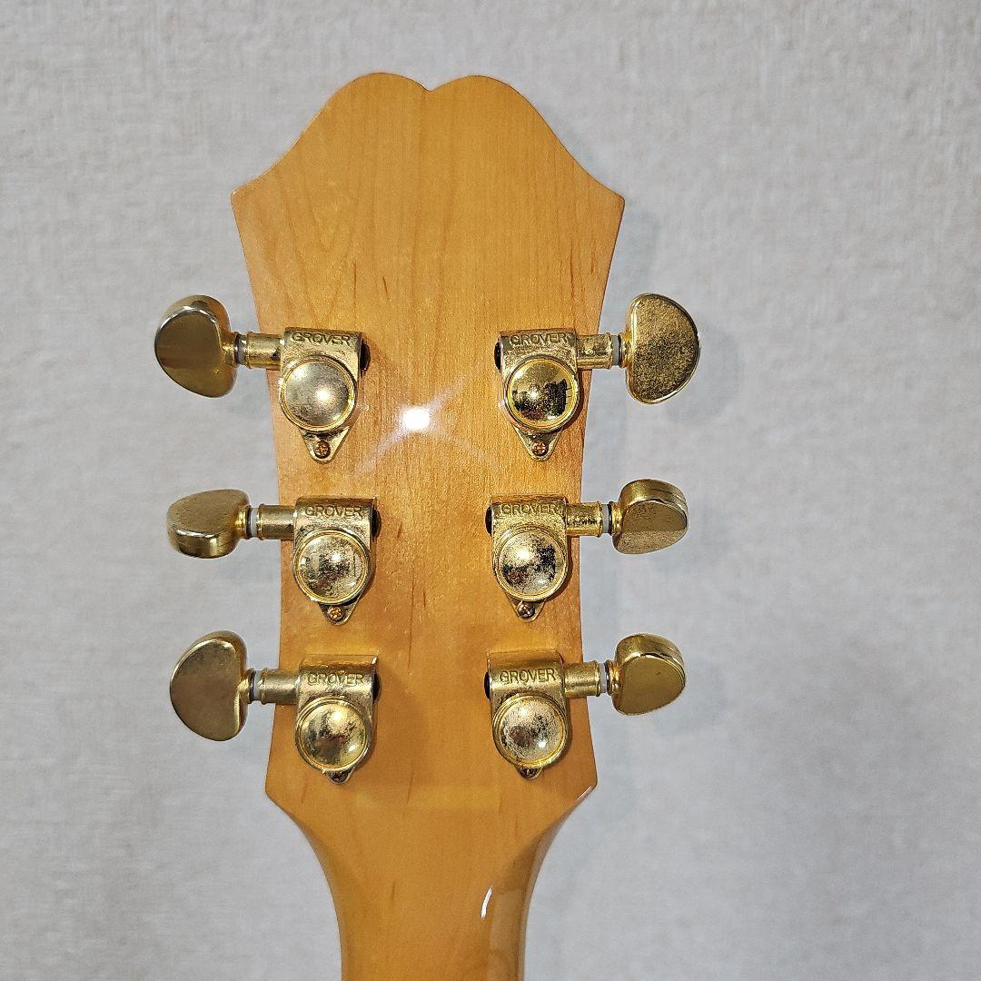 Epiphone.PERFORMER.SE Shadow.nanoMGAエレアコ