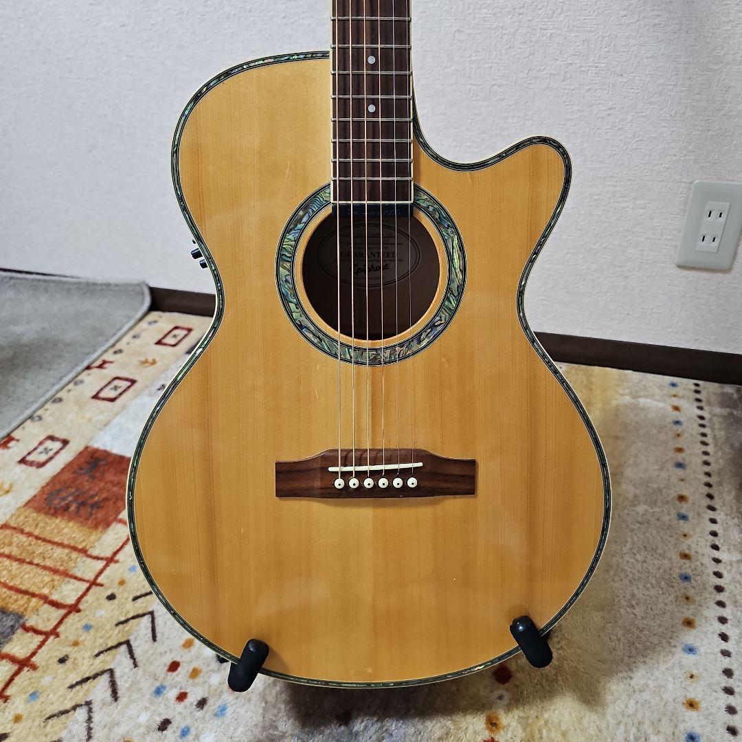 Epiphone.PERFORMER.SE Shadow.nanoMGAエレアコ