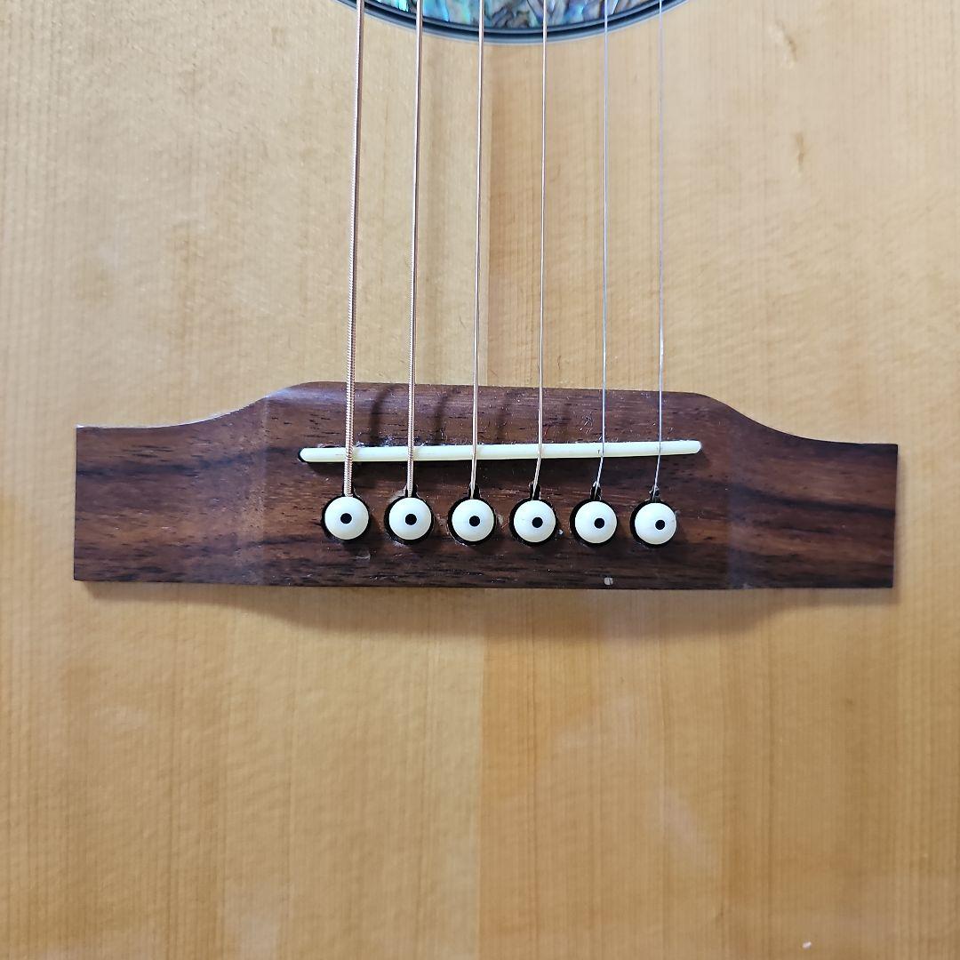 Epiphone.PERFORMER.SE Shadow.nanoMGAエレアコ